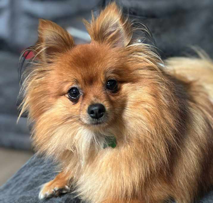 Photo of Little Man