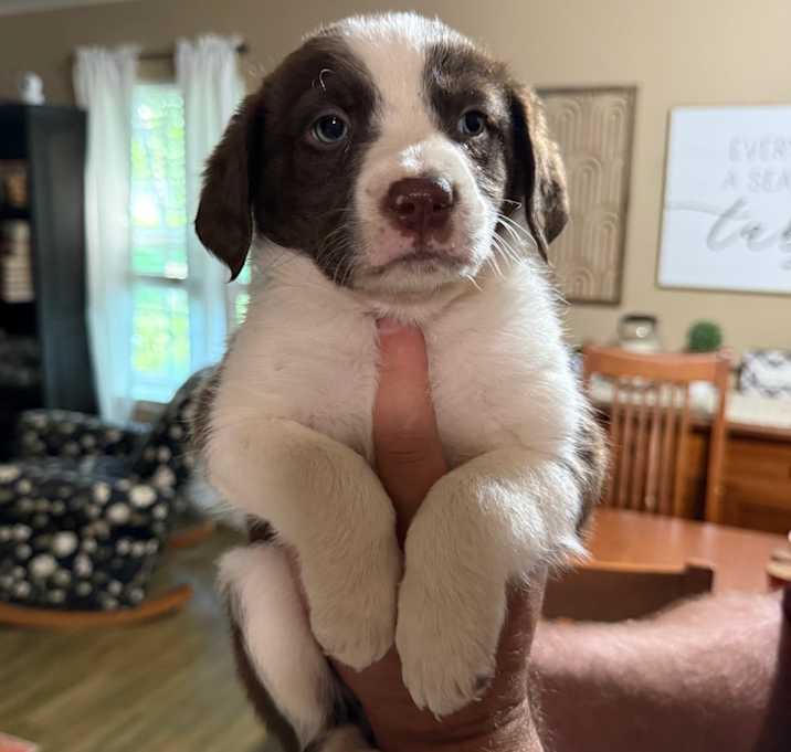 Photo of Flash