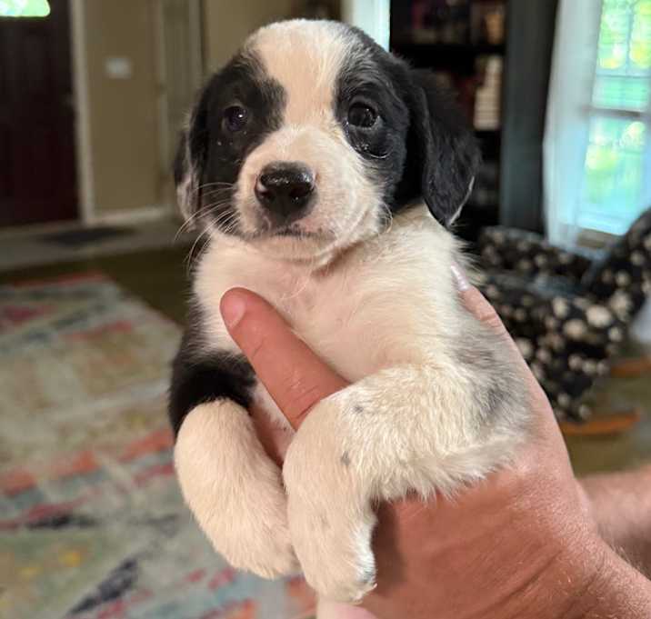 Photo of Rumble