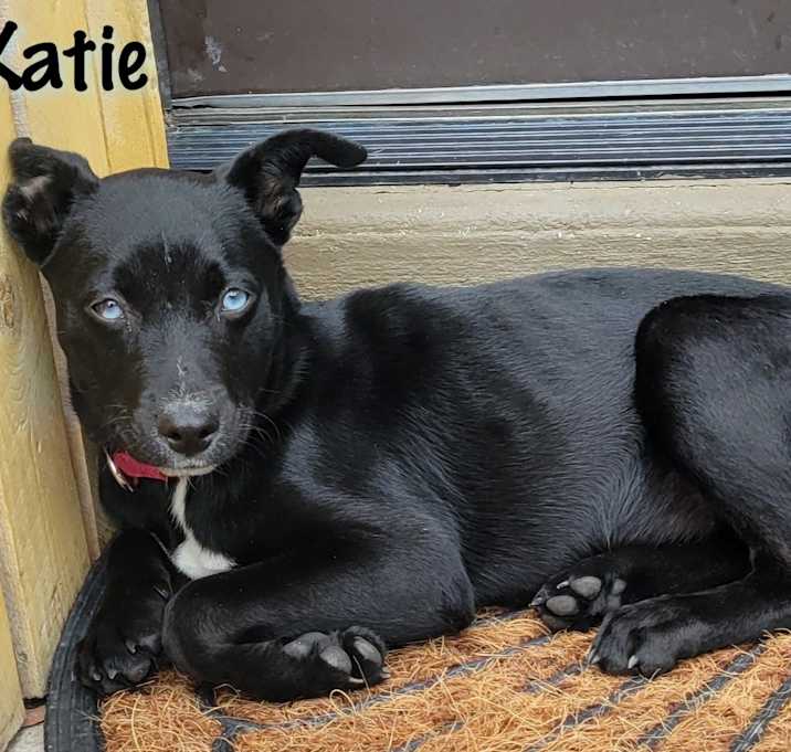 Photo of Katie