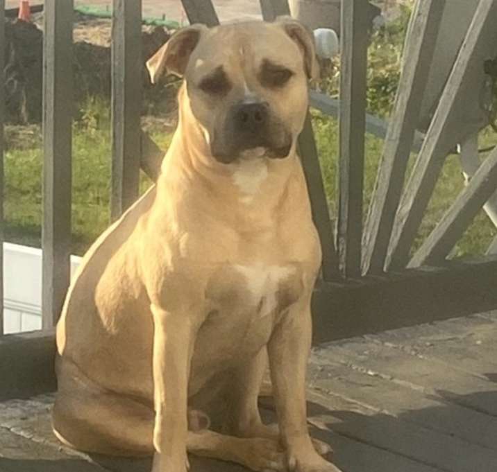 Photo of Ghost