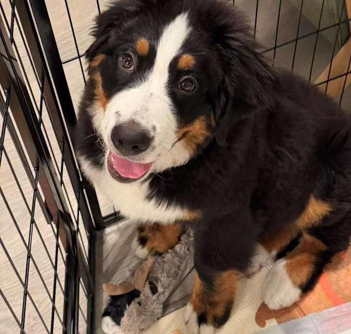 Photo of Winnie