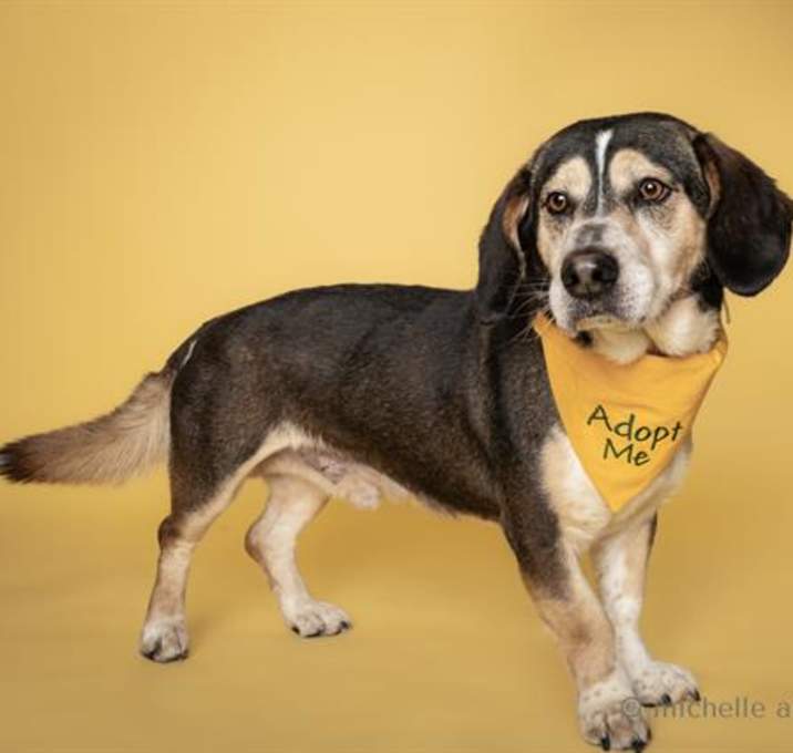 Photo of ROCKO