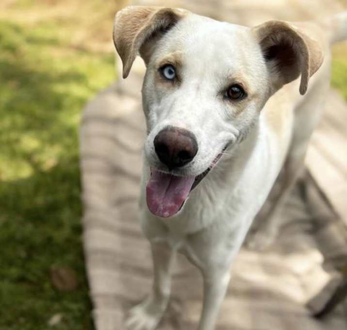 Photo of Scott - So Sweet!