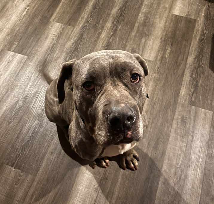 Photo of Tank