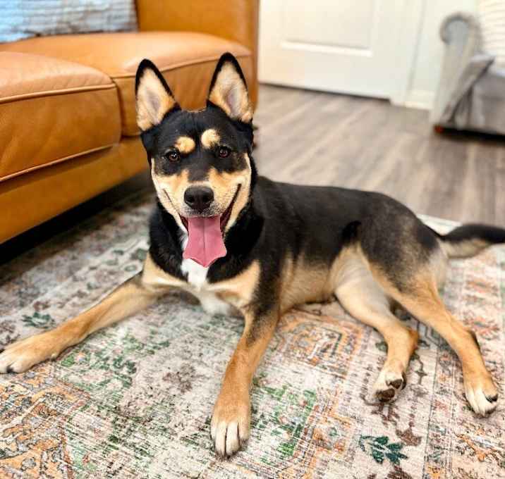 Photo of Sweet Lady is your built in bestie