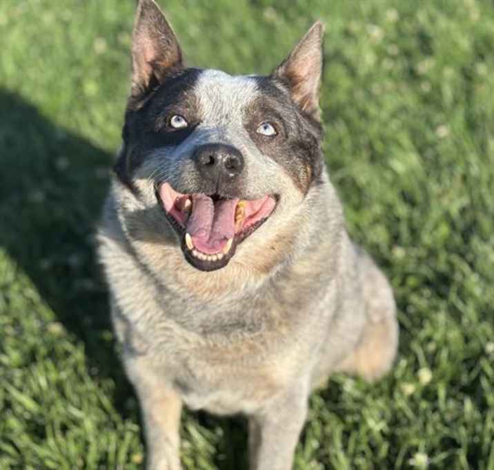Photo of WILBUR