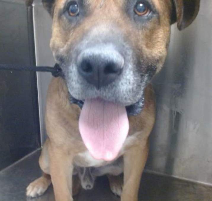 Photo of SIMBA