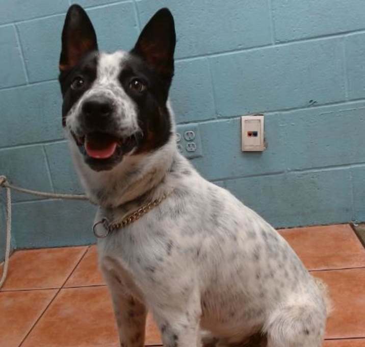 Photo of TRIX