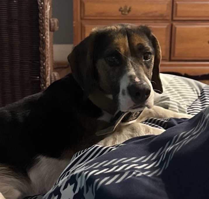 Photo of Jax
