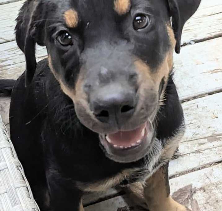 Photo of Blackjack
