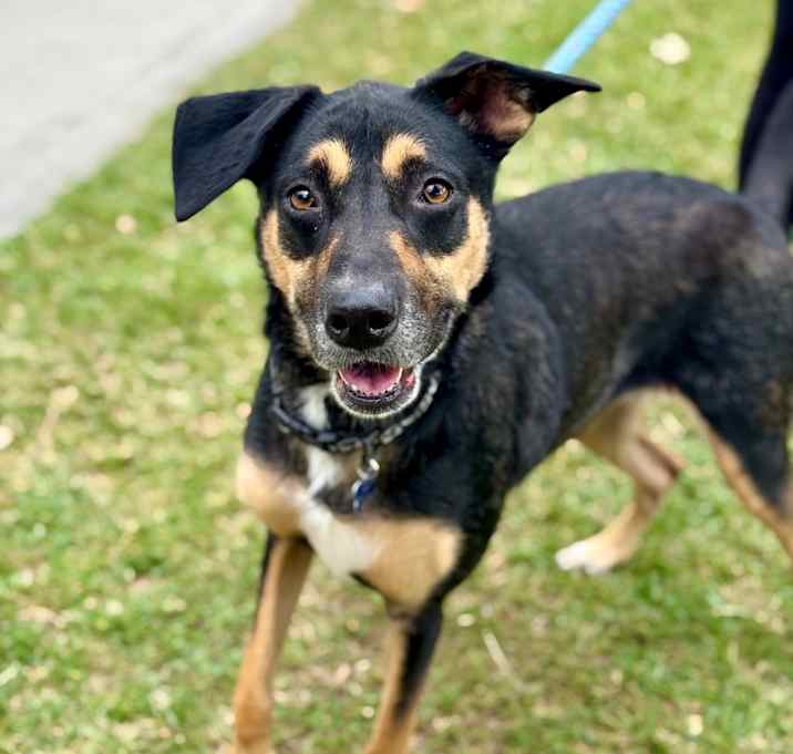 Photo of Ella(C000-643)- Chino Hills Location