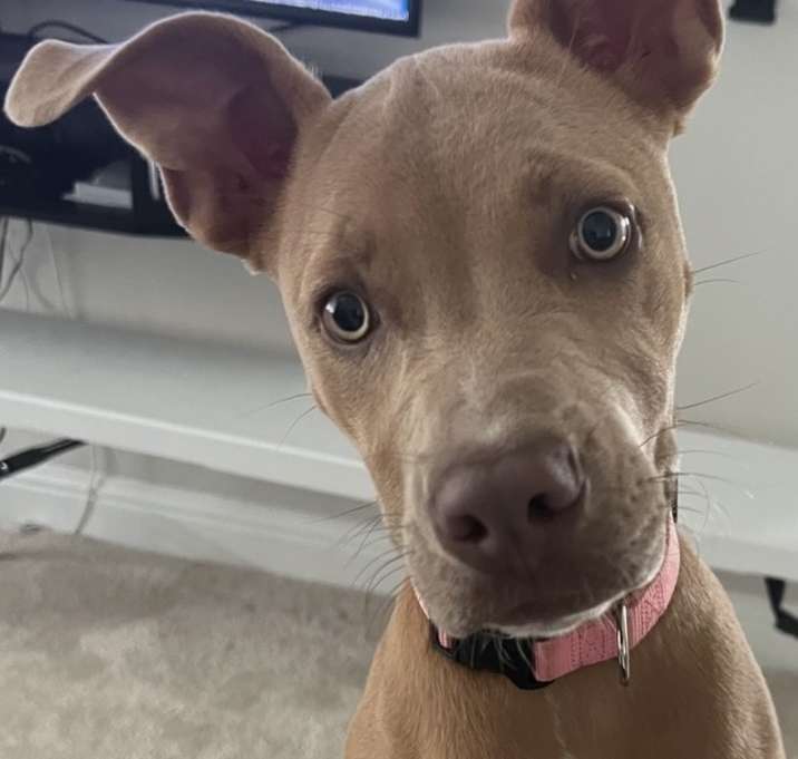 Photo of Nyla