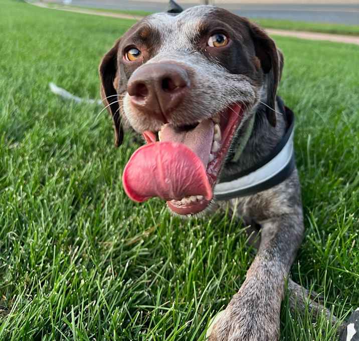 Photo of Jasper