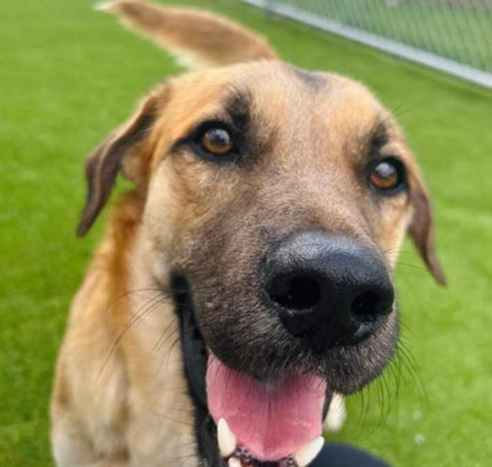 Photo of Tex