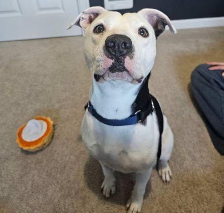 Photo of Sugar
