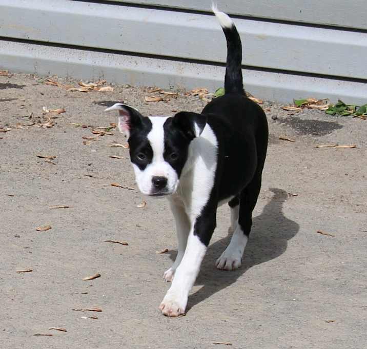 Photo of Fiona