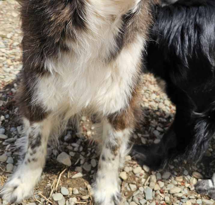 Photo of Simon