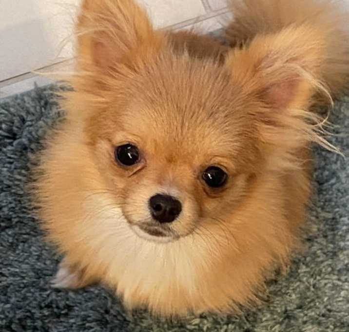 Photo of Audrey
