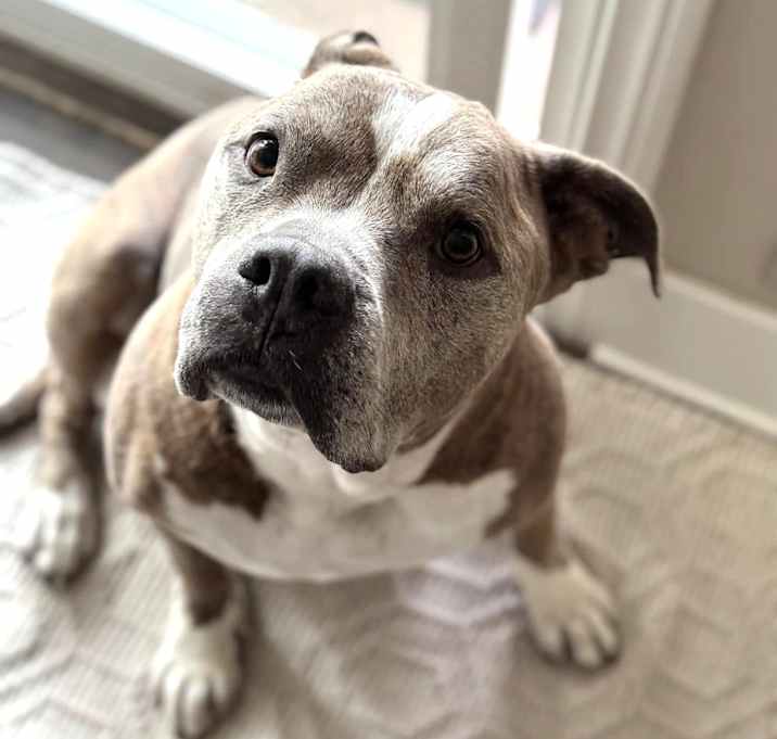 Photo of Giovanni