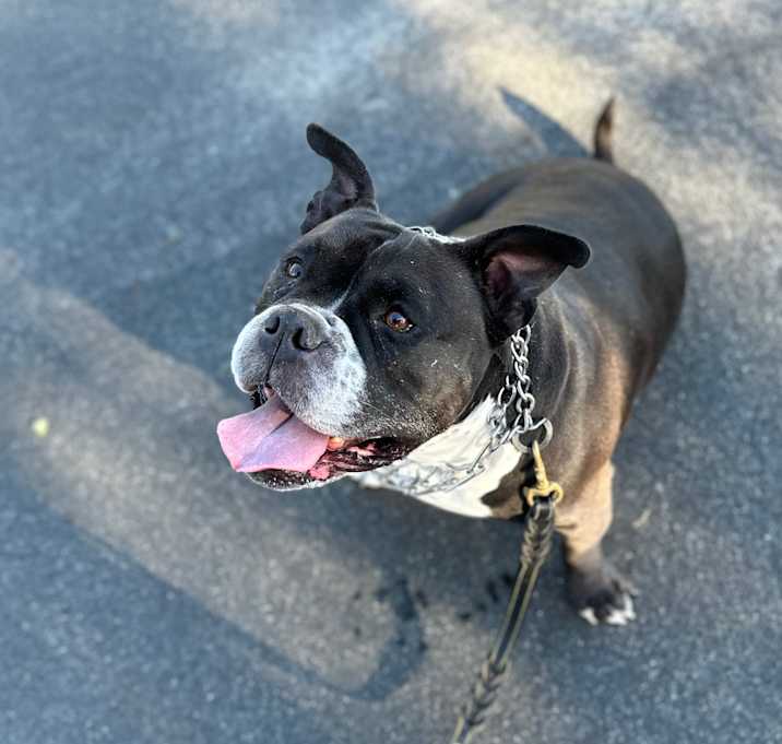 Photo of Brick