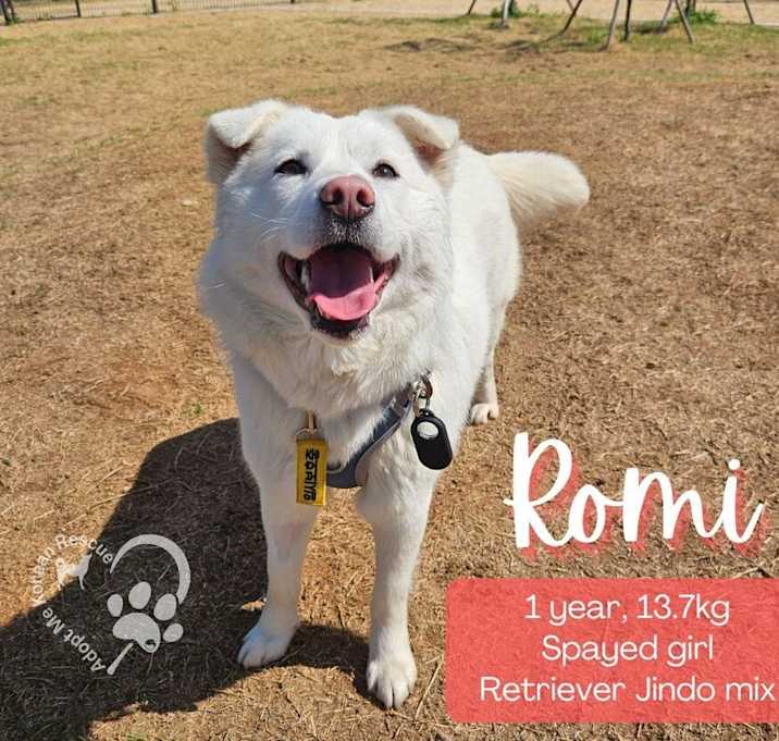 Photo of Romi