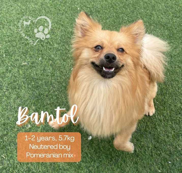 Photo of Bamtol