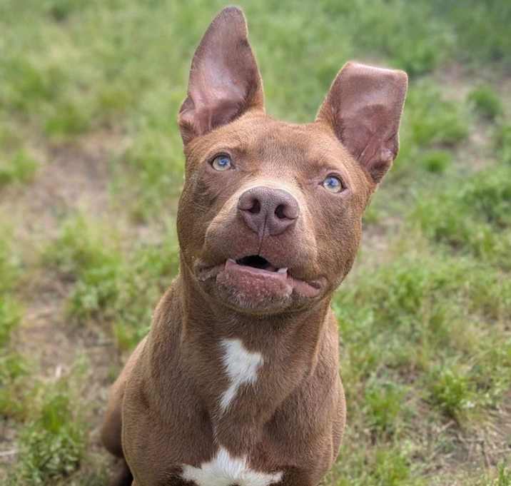 Photo of Jameson