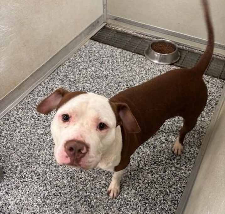 Photo of Deuce