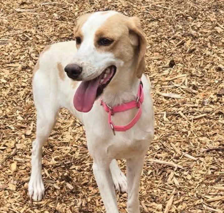 Photo of May - At shelter available 5/25
