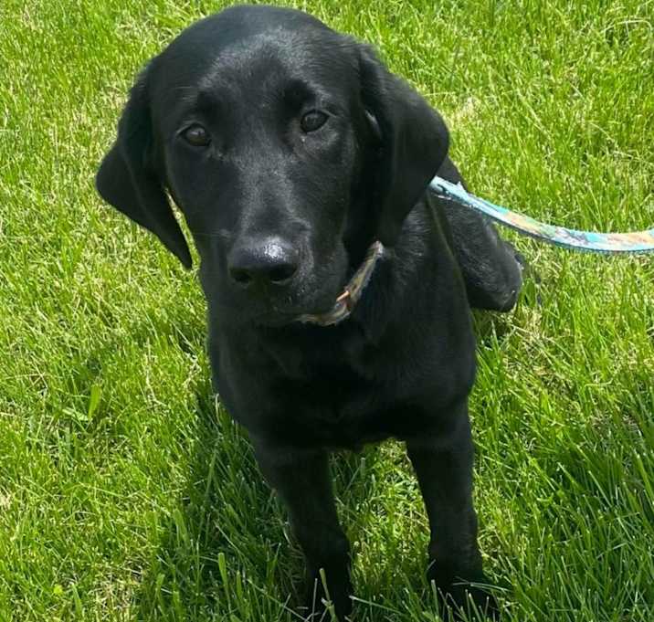 Photo of Remington