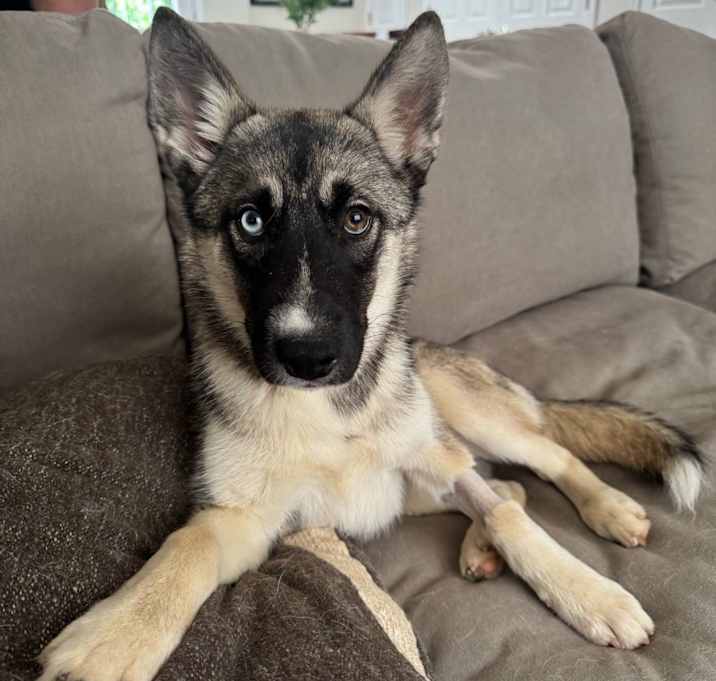 Photo of Bonnie