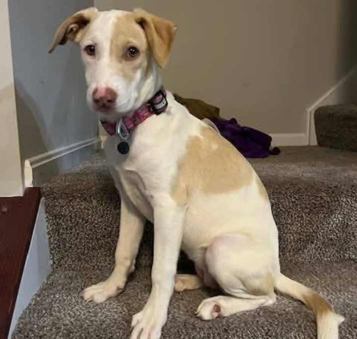 Photo of Daisy