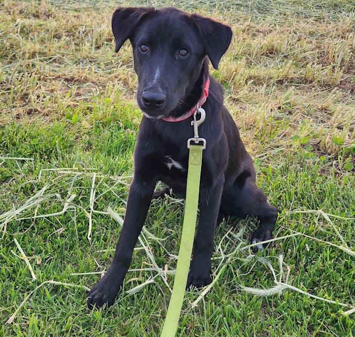Photo of Betty