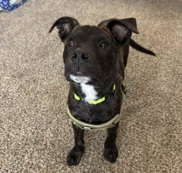Photo of Waylon