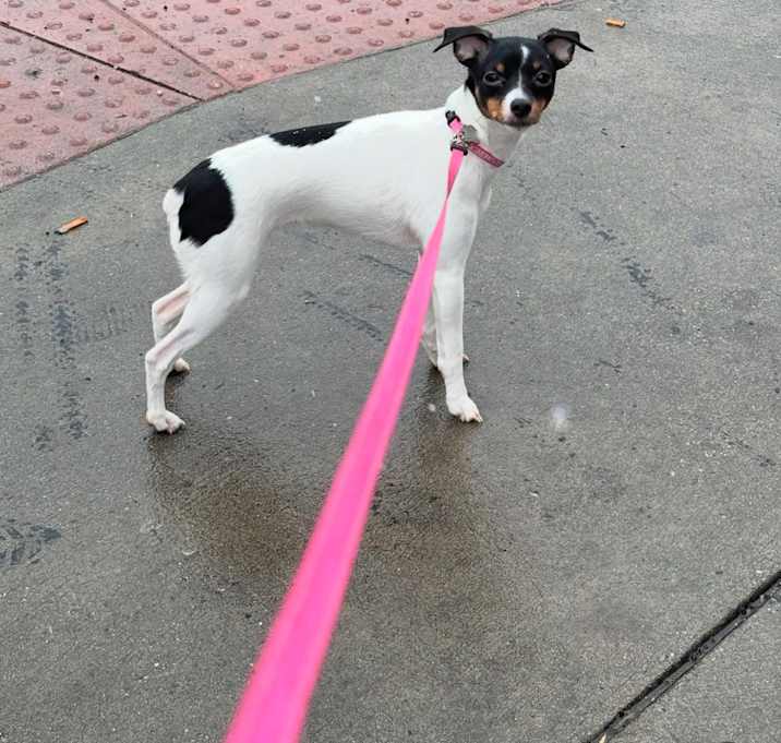 Photo of Lexie