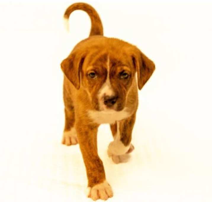 Photo of Buffy