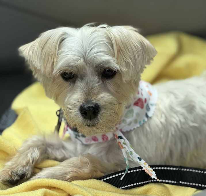 Photo of Mitzi