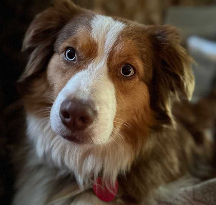 Photo of Cheyanne