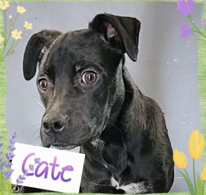 Photo of Cate