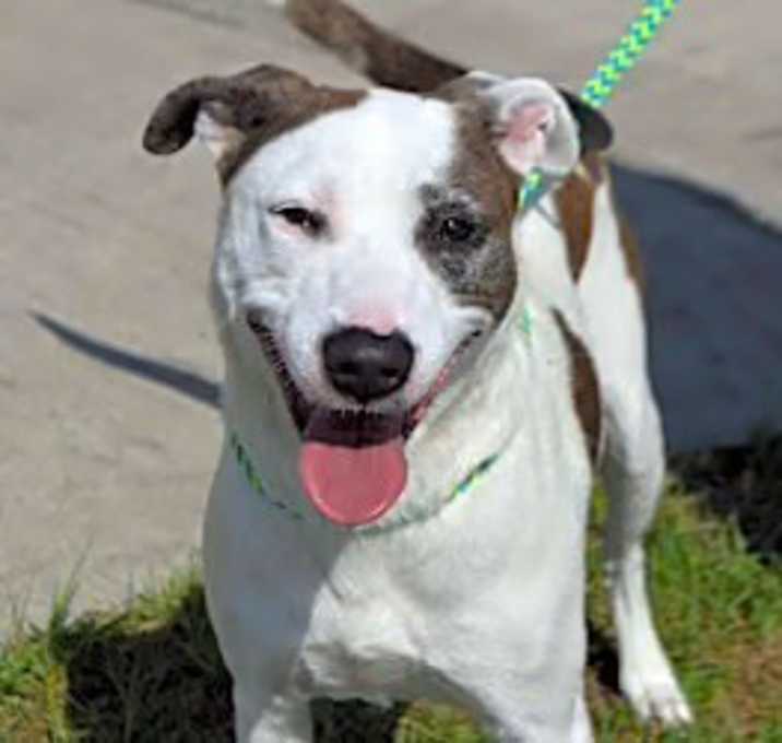 Photo of JEWELS/URGENT