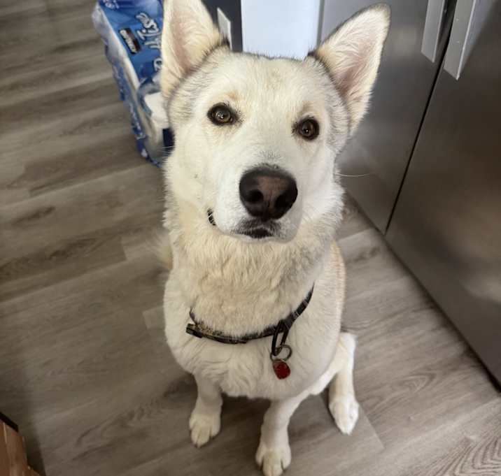 Photo of Taiko