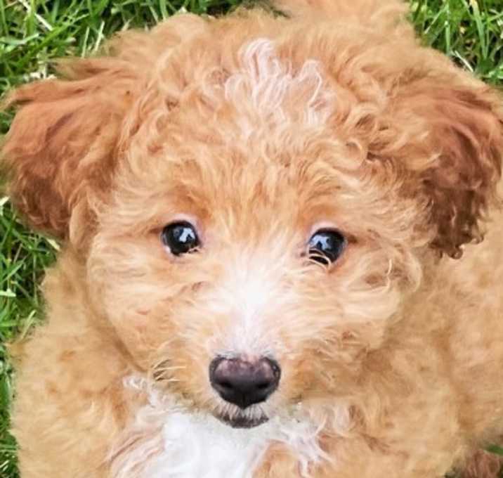 Photo of HOPE - THE UNWANTED SURPRISE
