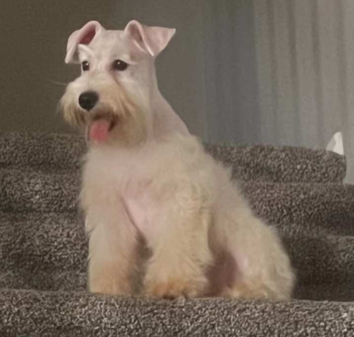Photo of Thor