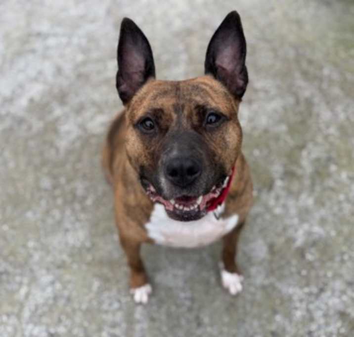 Photo of Zarra