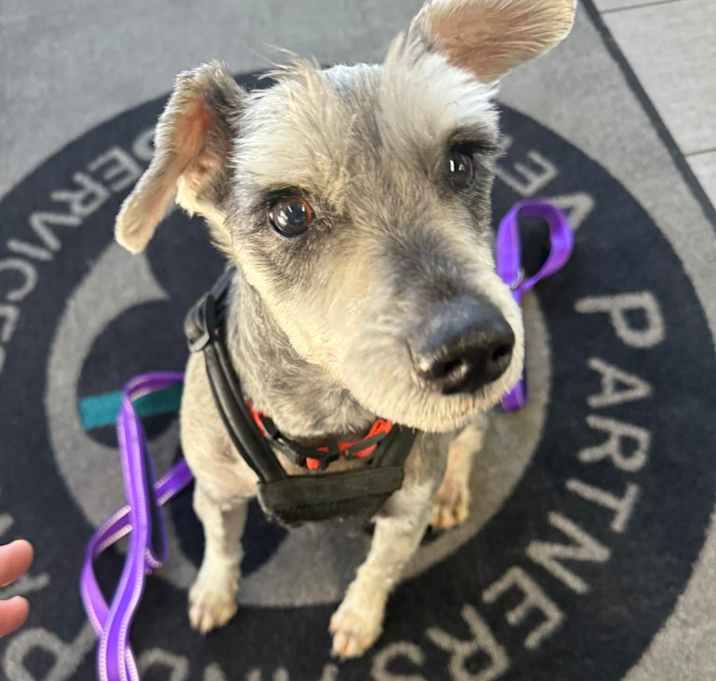 Photo of Jeeter