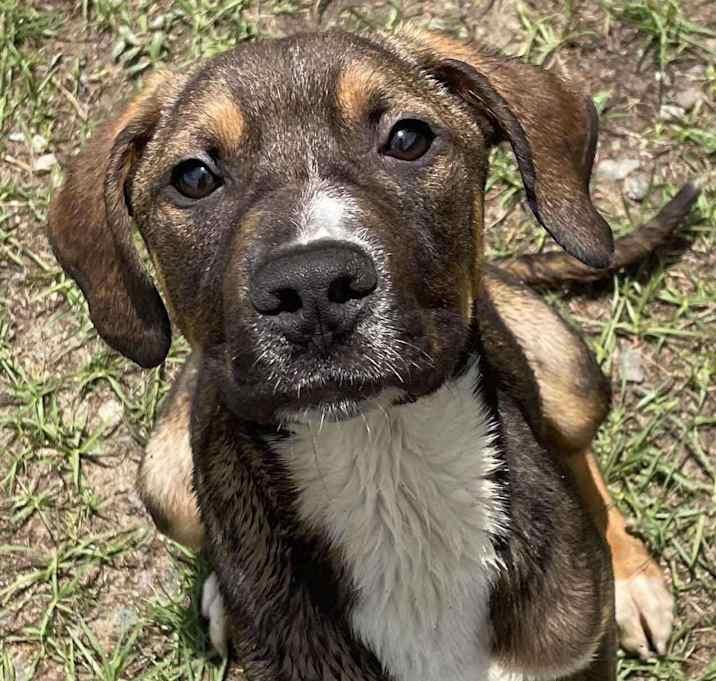 Photo of POOH/URGENT