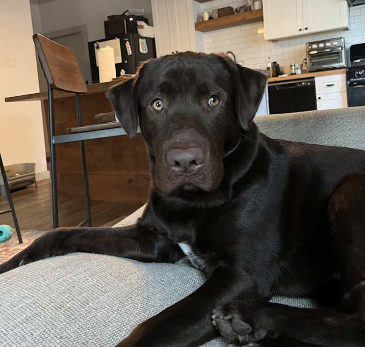 Photo of Boog