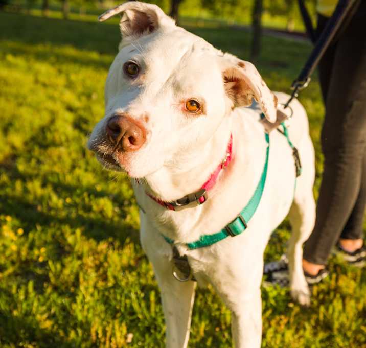 Photo of Skye