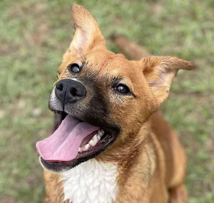 Photo of BABS/URGENT